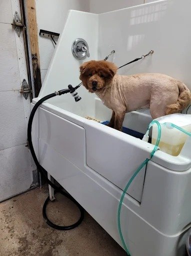 g-image-2